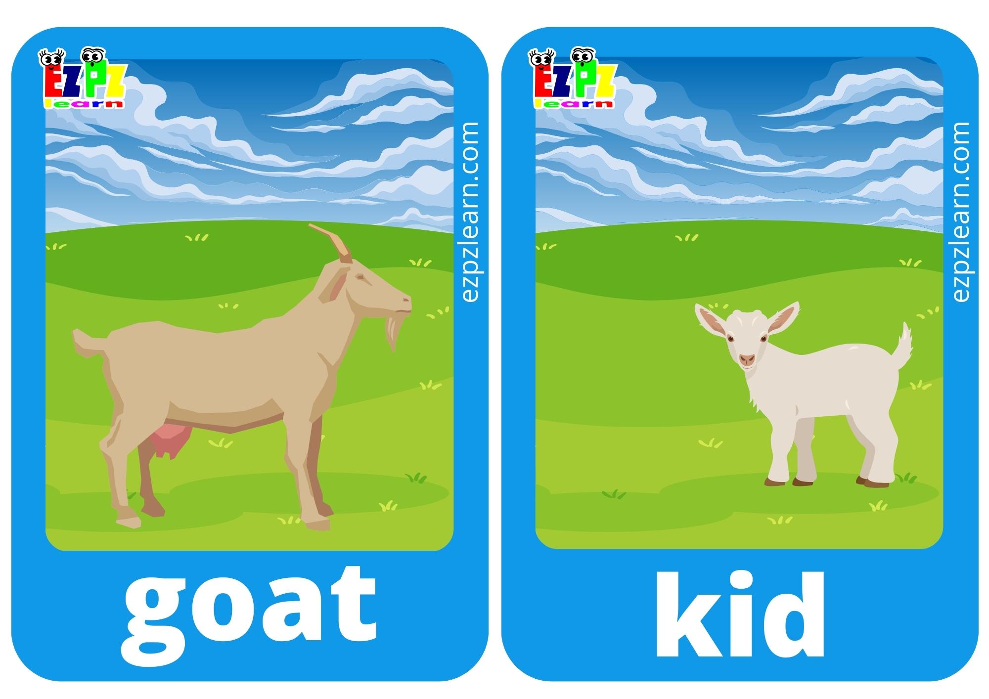 goat and kid